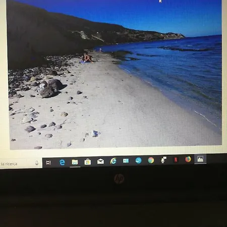 Relax. Mare